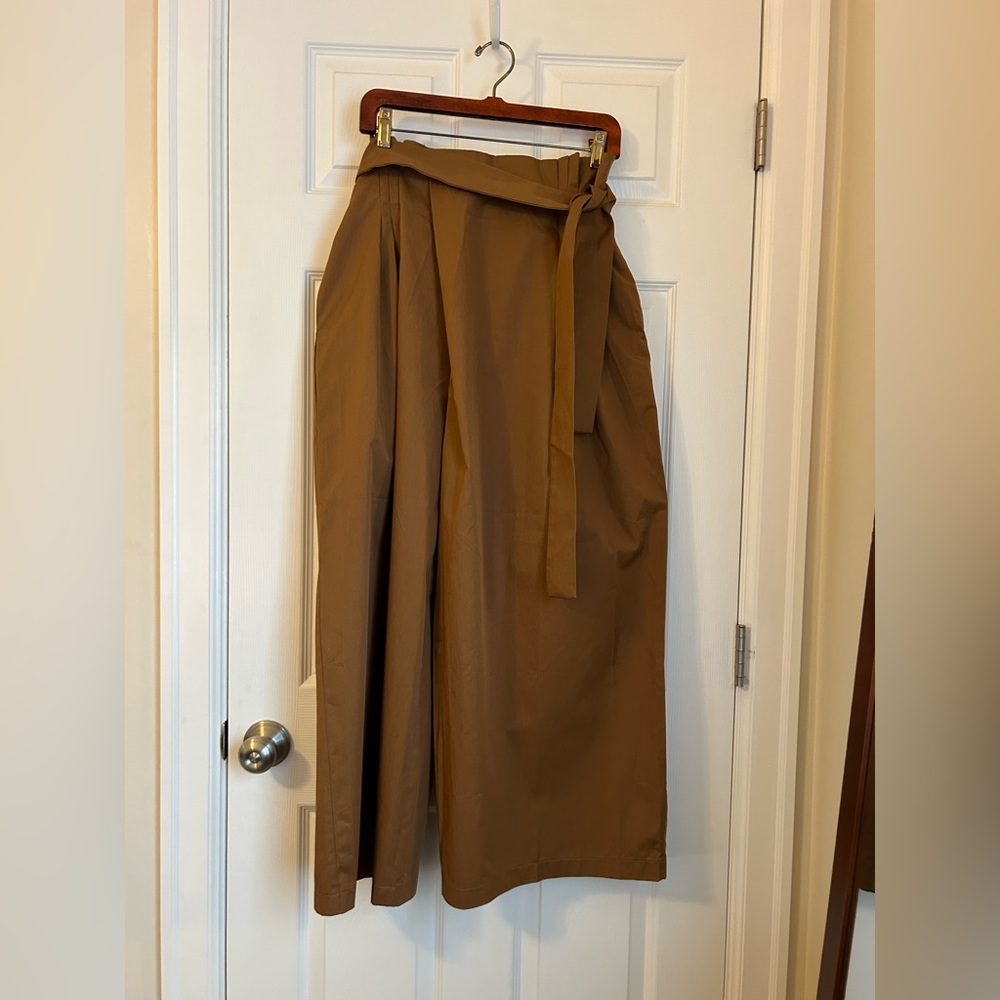 Exquise Anthropologie cropped pants! Sz M NWT
